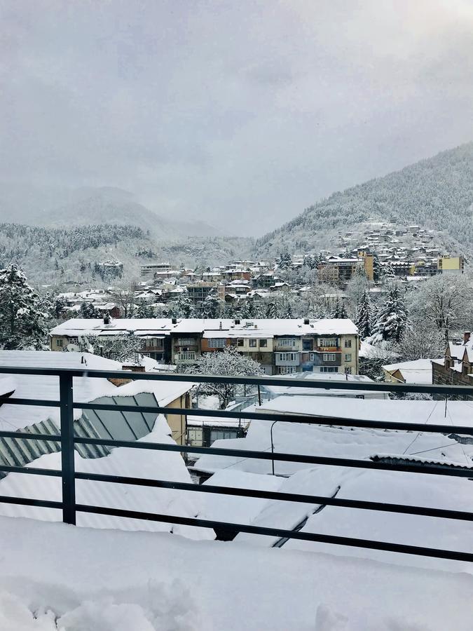 Borjomi Inn Luaran gambar
